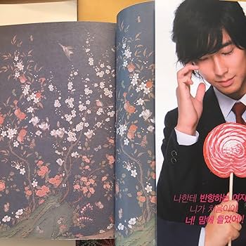 韓国語 궁 宮 クン Love in Palace Princess Hours Amazon.co.jp: Korean Drama (Miya ~ Love in Palace) Full
